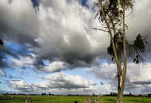 世界杯竞彩单场 -华爲(wèi)取得特征检测器(qì)和描述符专利