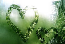 世界杯竞彩单场 -华爲(wèi)取得特征检测器(qì)和描述符专利